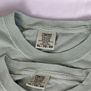 2 Comfort Colors Heavyweight Garment Dye Sage Green Crewneck Tees